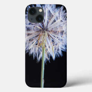 iPhone 13 Coque Tête de semence Dandelion (Taraxacum Officinale)