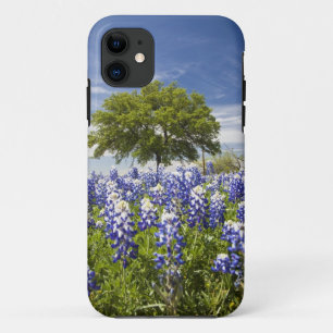 Coques Pour iPhone Texas bluebonnets (lupinus texensis) et chêne