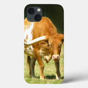 Coques Pour iPhone Texas Longhorn Cow
