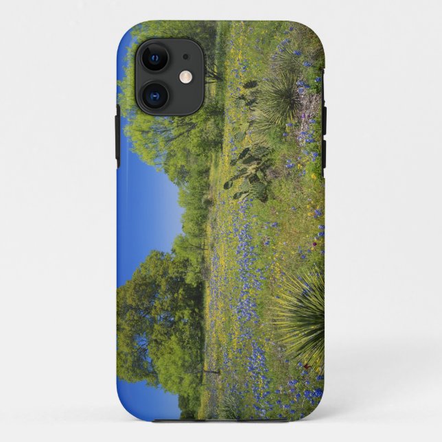 Coques Case-Mate iPhone Texas, Texas Hill Country, Low bladderpod, (Dos)