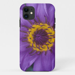 Coque iPhone 11 Thaïlande, Bangkok, Lotus violet et jaune