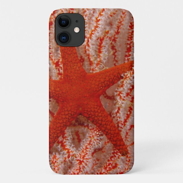 Coques Case-Mate iPhone Thaïlande Sea Star Aka Starfish (Dos)
