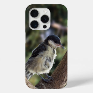 Coque Case-Mate iPhone Tidi my Bird le Parus Major