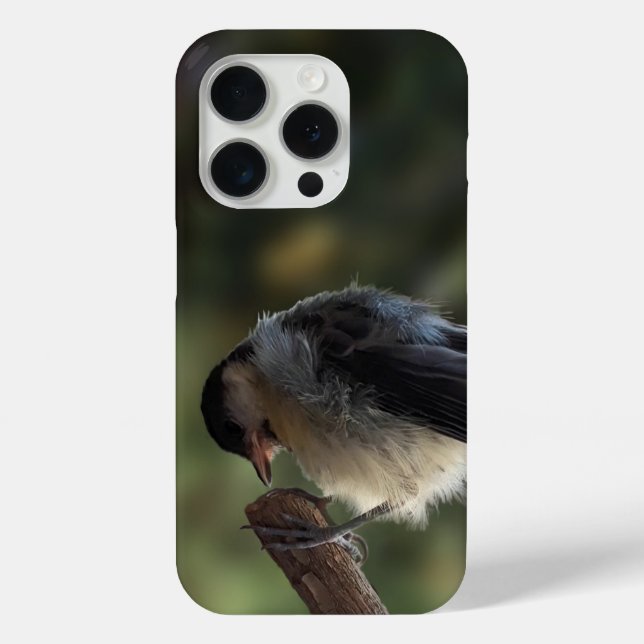 Coques Case-Mate iPhone Tidi my Bird le Parus Major (Verso)