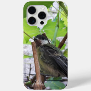 Coque Case-Mate iPhone Tidi my Bird le Parus Major
