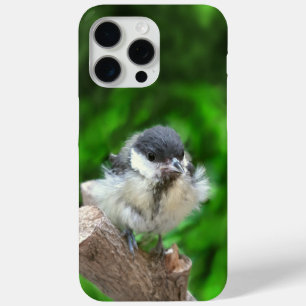 Coque Case-Mate iPhone Tidi my Bird le Parus Major