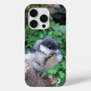 Coque Case-Mate iPhone Tidi my Bird le Parus Major