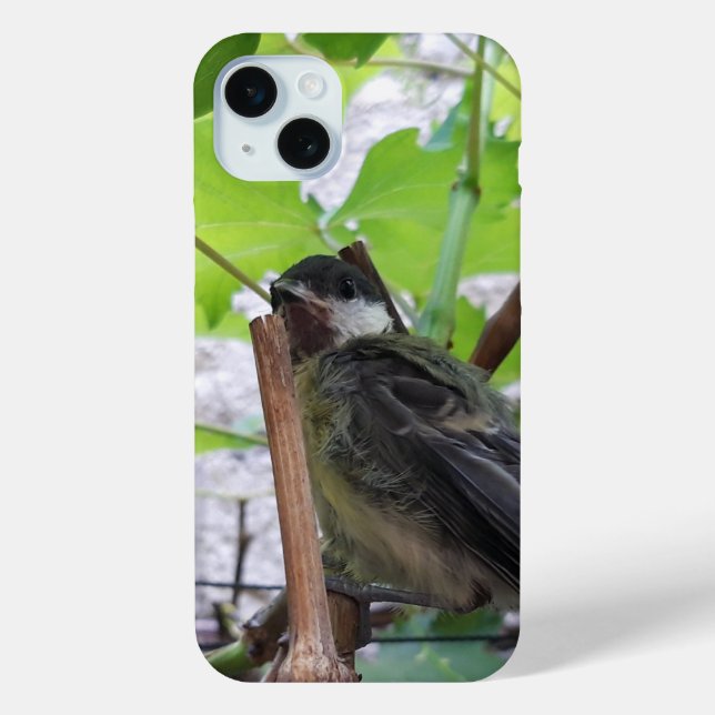 Coques Case-Mate iPhone Tidi my Bird le Parus Major (Verso)