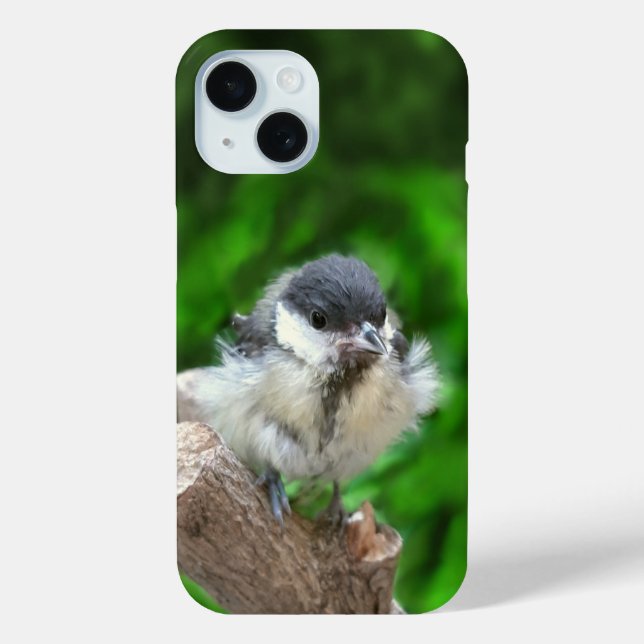 Coques Case-Mate iPhone Tidi my Bird le Parus Major (Verso)