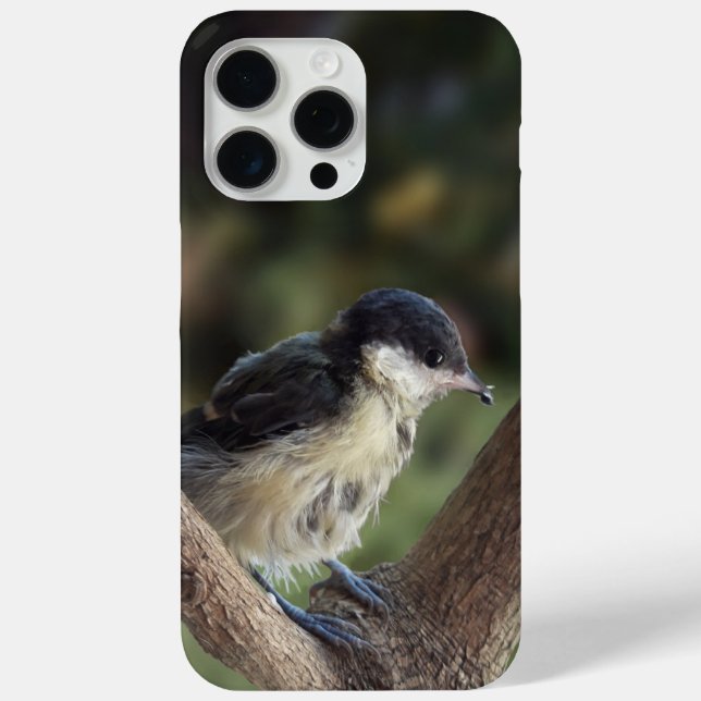 Coques Case-Mate iPhone Tidi my Bird le Parus Major (Verso)