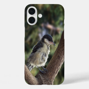 Coque Pour iPhone 16 Plus Tidi my Bird le Parus Major