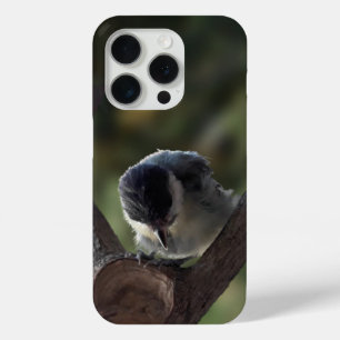 Coque Case-Mate iPhone Tidi my Bird le Parus Major