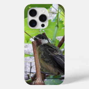 Coque Case-Mate iPhone Tidi my Bird le Parus Major
