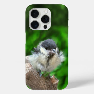 Coque Case-Mate iPhone Tidi my Bird le Parus Major