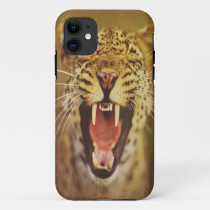 COQUE iPhone 11 TIGER