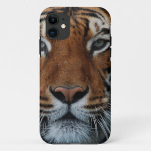 Coques Pour iPhone Tiger Chat Stripes Jungle Mist Animal