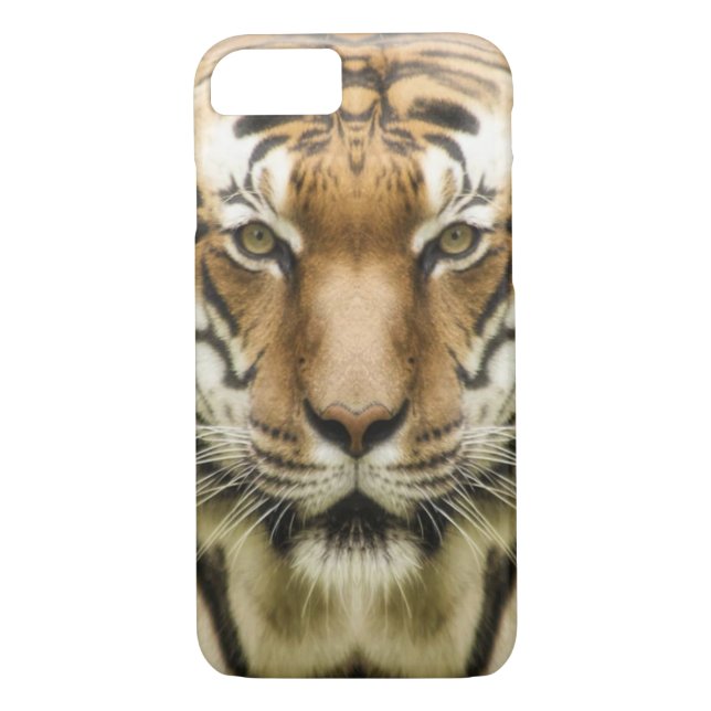 Coques Case-Mate iPhone Tiger Gros plan (Dos)
