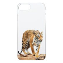 Tiger Sur Un Journal