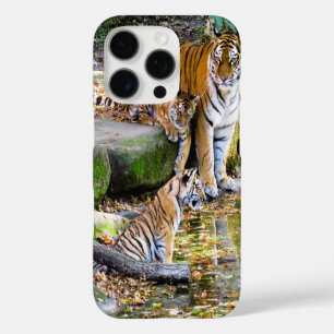 Coque iPhone 16 Pro Tigre