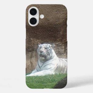 Coque Pour iPhone 16 Plus Tigre Blanc