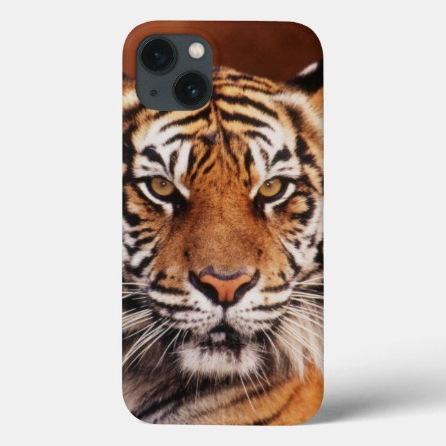 Coques Case-Mate iPhone Tigre de Sumatra (Verso)