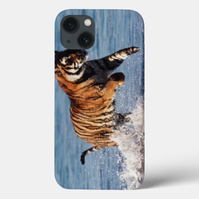 Coques Case-Mate iPhone Tigre du Bengale (Panthera Tigris) (Verso)