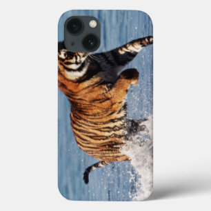 Etui iPhone 13 Tigre du Bengale (Panthera Tigris)