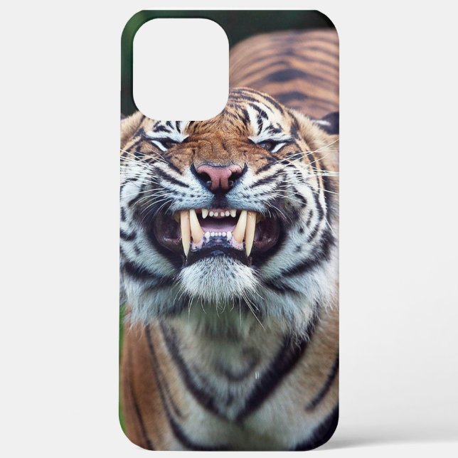 Coques Case-Mate iPhone "Tigre Tooth" (Verso)