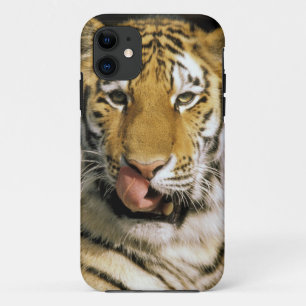 Case-Mate iPhone Case Tigre Zoo du Michigan