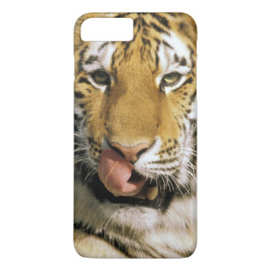 Coque iPhone 7 Plus Tigre Zoo du Michigan