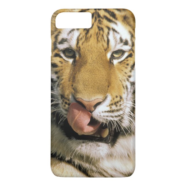 Coques Case-Mate iPhone Tigre Zoo du Michigan (Dos)