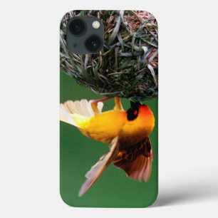 Coque Case-Mate iPhone Tisserin masqué africain (Ploceus Velatus)
