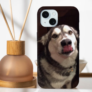 Coque Case-Mate iPhone Tongue apprentissage Malamute de l'Alaska