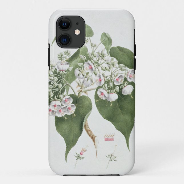Coques Case-Mate iPhone Torrida de Walkuffa No.5 Dombeya (la semaine (Dos)