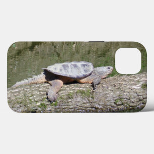 Case-Mate iPhone Case Tortue