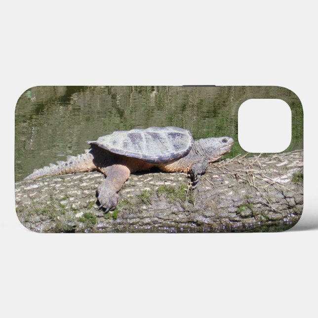 Coques Case-Mate iPhone Tortue (Verso (horizontal))