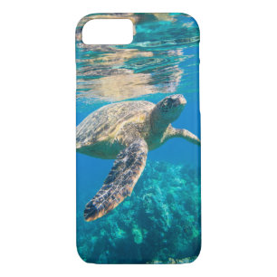 Coques Pour iPhone Tortue de mer