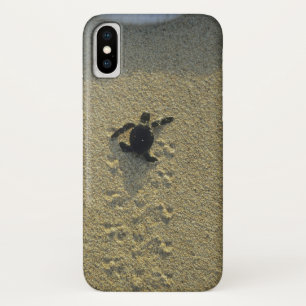 Coques Pour iPhone Tortue verte, (Chelonia mydas), éclos