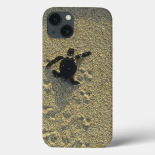 Etui iPhone Case-Mate Tortue verte, (Chelonia mydas), nouveau-né