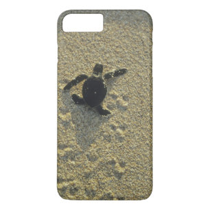 Coque Case-Mate Pour iPhone Tortue verte, (Chelonia mydas), nouveau-né