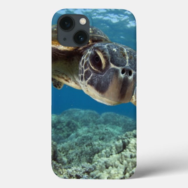 Coques Case-Mate iPhone Tortue verte hawaïenne (Verso)