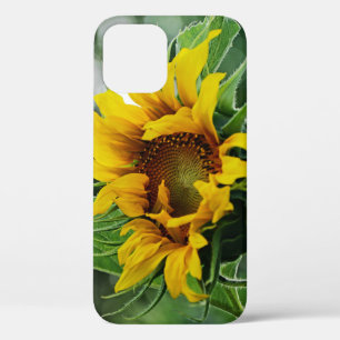 Coques Pour iPhone Tournesol