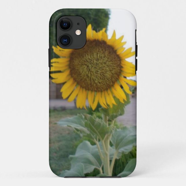 Coques Case-Mate iPhone Tournesol (Dos)