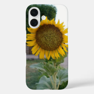 Coques iPhone 16 Tournesol
