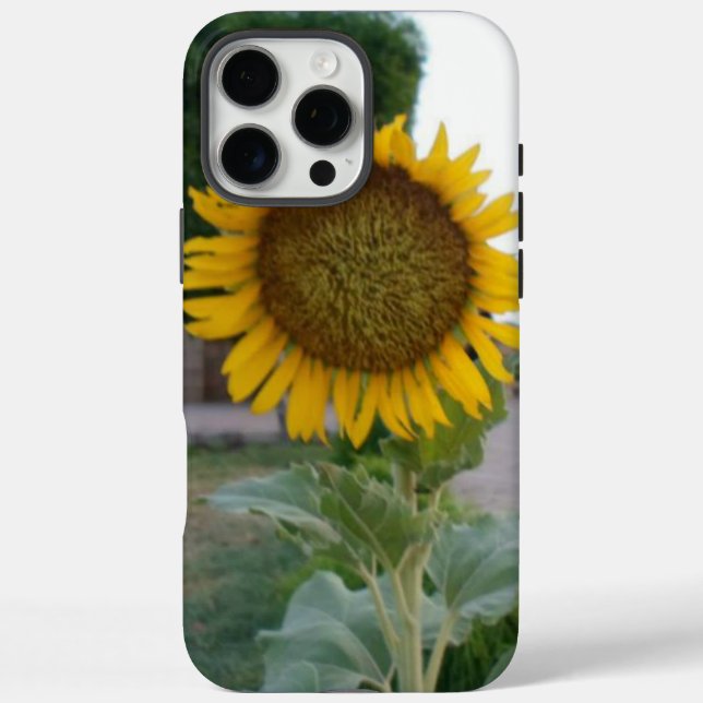 Coques Case-Mate iPhone Tournesol (Verso)