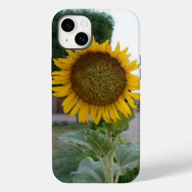 Coques Case-Mate iPhone Tournesol (Verso)