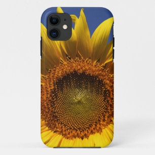 Coque Case-Mate iPhone Tournesol