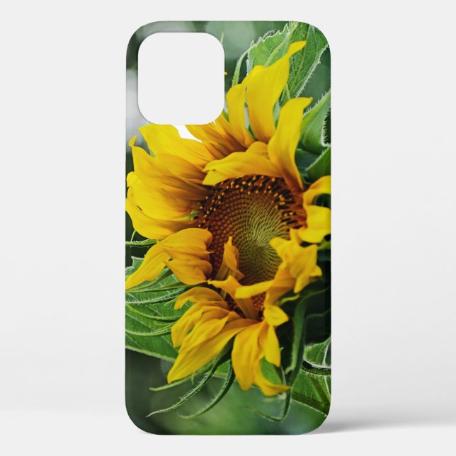 Coques Case-Mate iPhone Tournesol (Verso)
