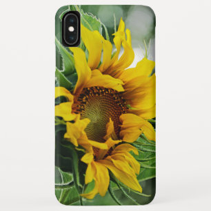 Case-Mate iPhone Case Tournesol