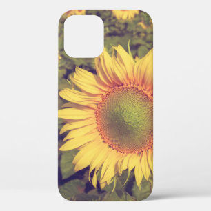 Case-Mate iPhone Case Tournesol avec effet filtre style vintage rétro